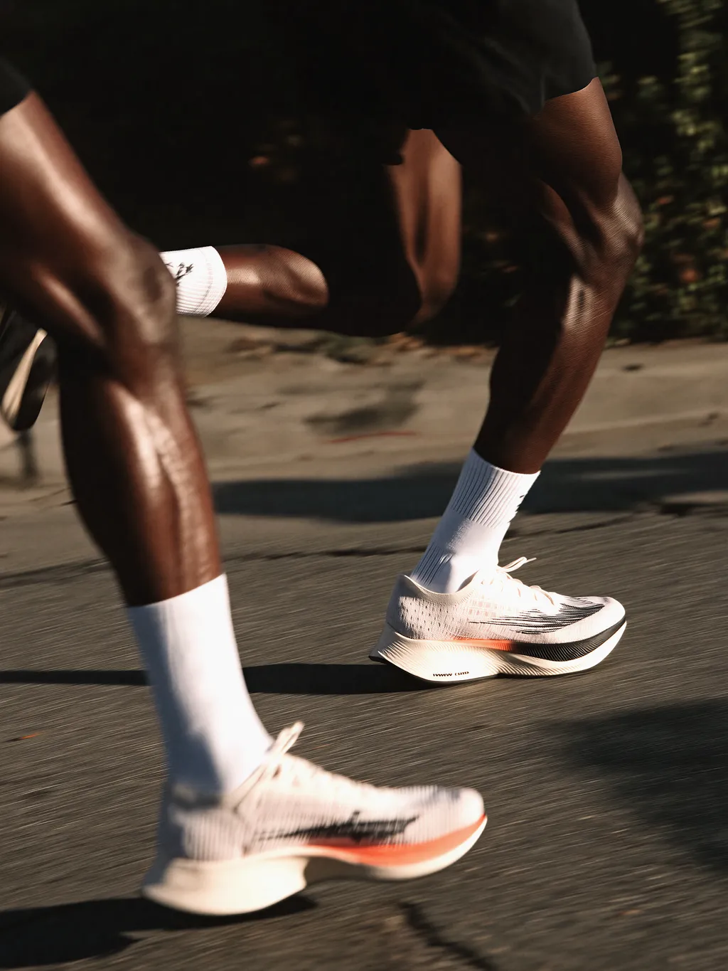 Movement, Light, and Rhythm in Modern Creative Lifestyles