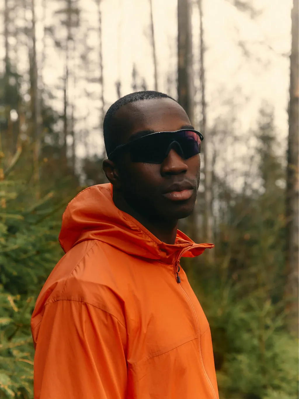 Movement and Color as Signals of Intentional Digital Work